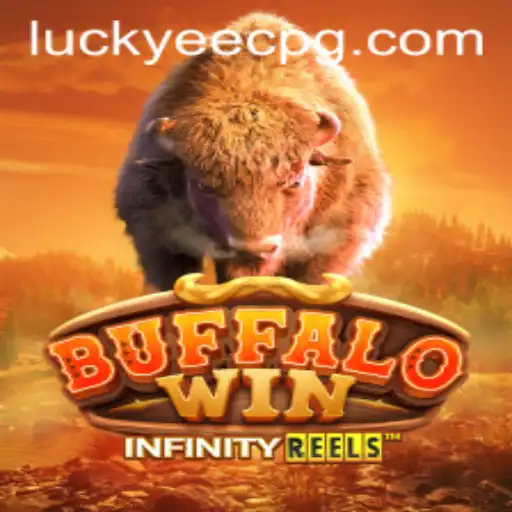 Exploring BuffaloWin: An Engaging Online Gaming Adventure